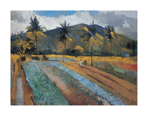 Cabbage Patch - Boscoe Holder