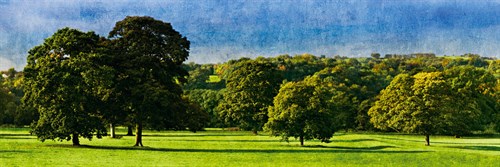 English Meadow - Pete Kelly
