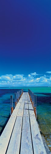 Into The Blue - Nathan Secker