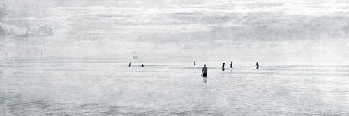 Paddle - Pete Kelly