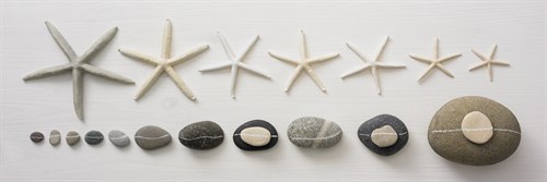 Coastal Collection II - Camille Soulayrol