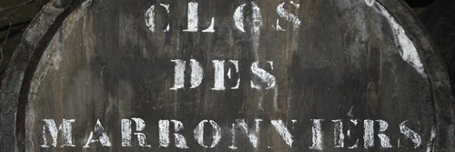 Cellar IV - Tony Koukos