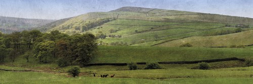 Valley Horses Panoramic - Pete Kelly