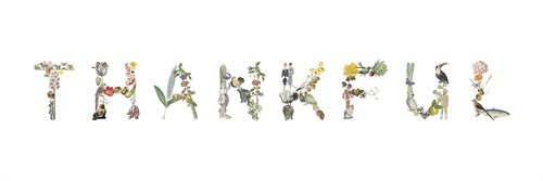 Art Alphabet - Thanks - Joelle Wehkamp