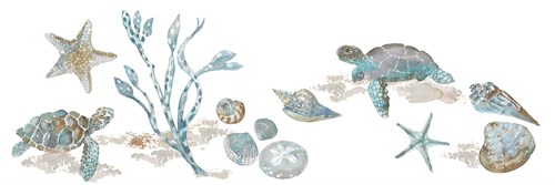 Sea Treasures - Turtles - Sandra Jacobs