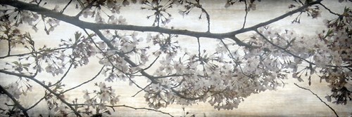 Cherry Blossom Tree - Tony Koukos