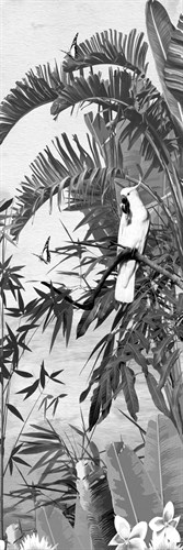 Jungle Noir - Cockatoo - Amy Shaw