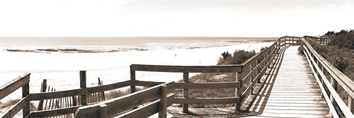 Between the Bays - Malcolm Sanders