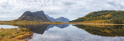 Nature Parallel - Andreas Stridsberg