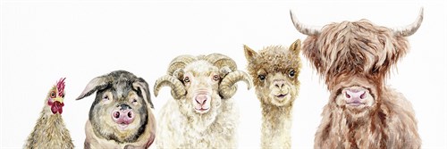 Farmyard Focus - Janie Howe