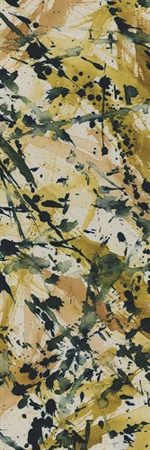 Chaos - Speckle - Tanuki