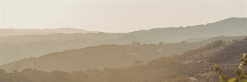 Many Views - Florian Schleinig