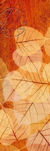 Falling Leaves I - Malcolm Sanders