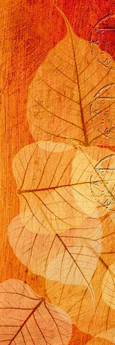 Falling Leaves II - Malcolm Sanders