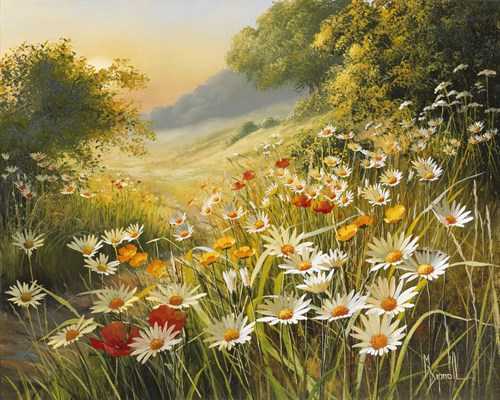 Evening Sun - Mary Dipnall