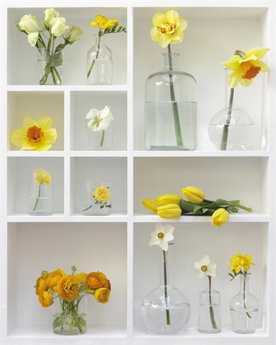 Thoughts of Spring II - Camille Soulayrol