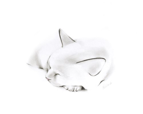 Slumber - Kellas Campbell