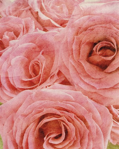 Vintage Romance II - Collezione Botanica