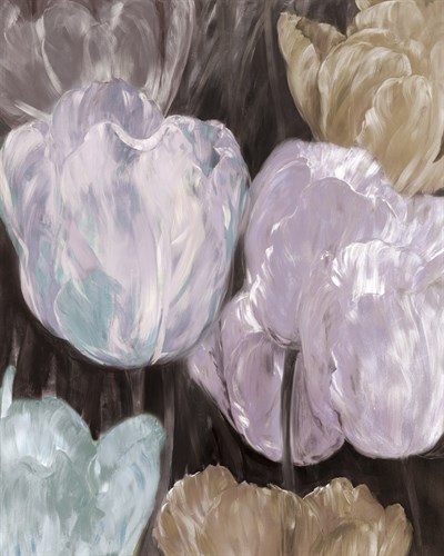 Tulip Haze - Philip Brown