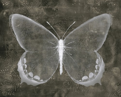 Moonlit Flight II - Belle Poesia