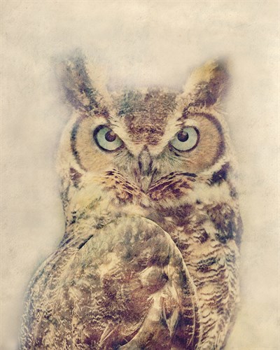 Wise - Midori Greyson