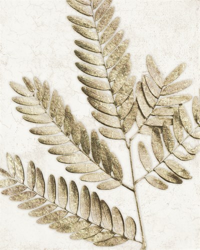 Leaf Study II - Belle Poesia