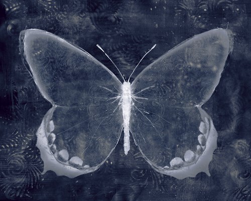Moonlit Flutter II - Belle Poesia
