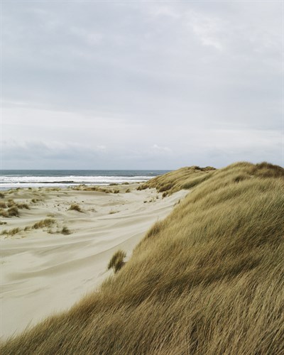 Escape - Andrew Geiger