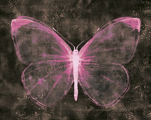 Moonlit Glow I - Belle Poesia
