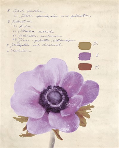 Botanical Wash II - Belle Poesia