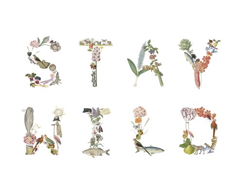 Stay Wild - Joelle Wehkamp