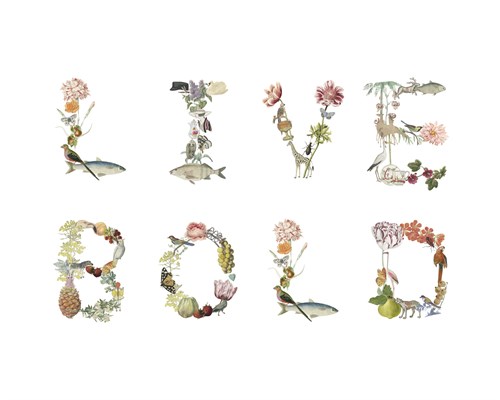 Live Bold - Joelle Wehkamp