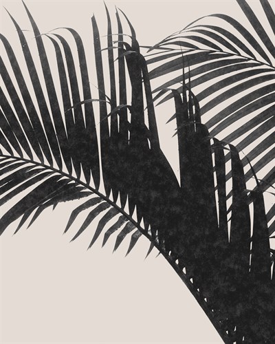 Linear Frond II - Fawn - Bill Philip
