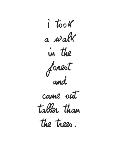 Forest Walk - Sasha Blake