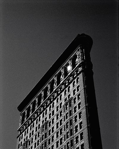 New York Icon II - Ella Lancaster