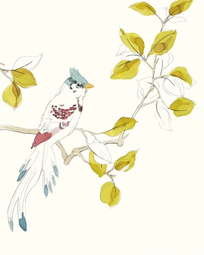 Paradise Bird - Stay - Kristine Hegre