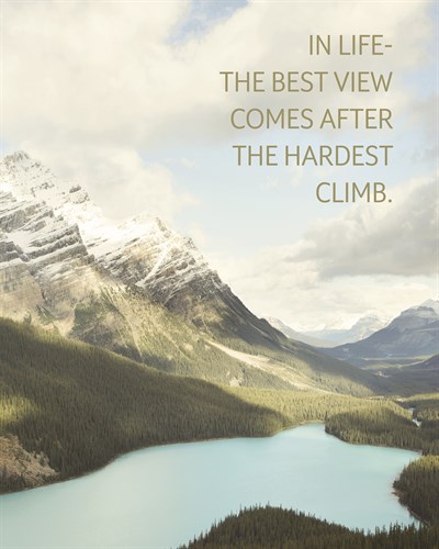 The Best View - Irene Suchocki