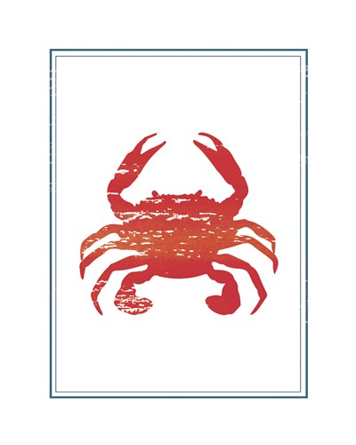 Crustacea II - Bordered - Archie Stone