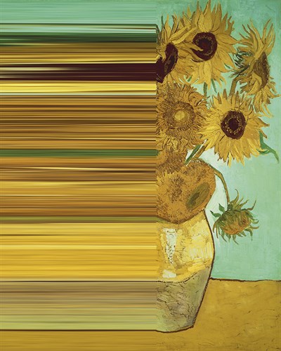Sunflower Spectrum - Eccentric Accents
