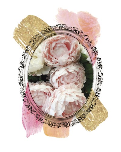 Ornate Chrysanthemums - Collezione Botanica