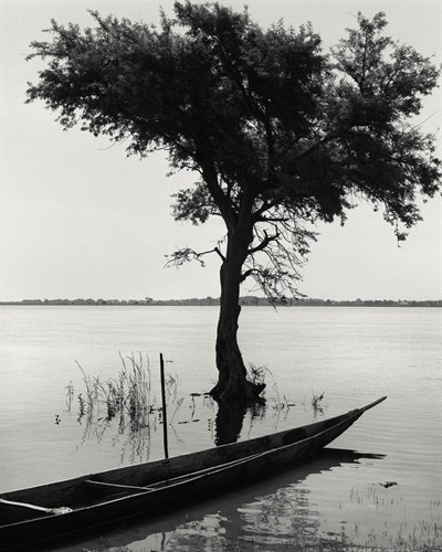 Lake Giving Life - Andrew Geiger