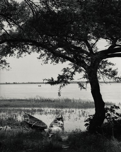 Lakeside Peace - Andrew Geiger