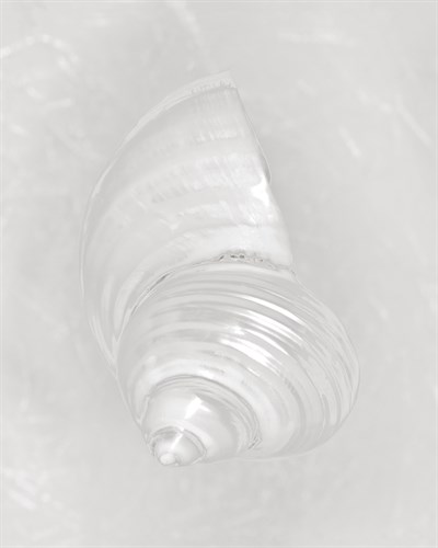 Beachcomber - Spirals - Ben Wood