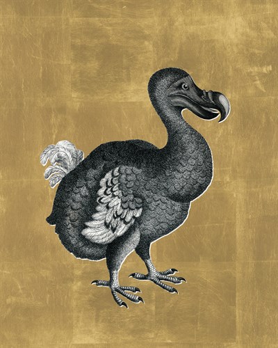 Dodo - Aurum - The Drammis Collection