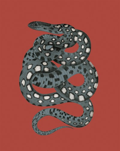 Serpentine Scarlet - Maria Mendez