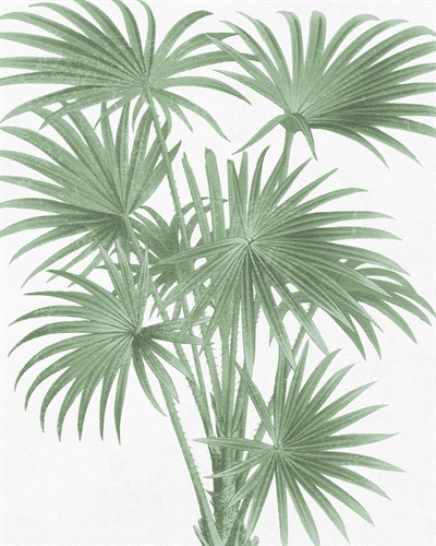Stretching Leaves - The Vintage Collection