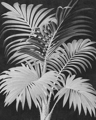 Palm Monoprint Echo - The Vintage Collection