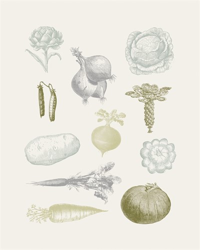 Harvest Gather - Maria Mendez