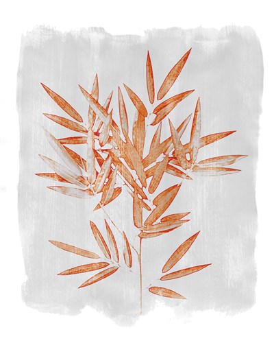 Bamboo Harmony - Belle Poesia
