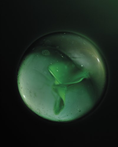 Jellyfish - Kernud Hansen